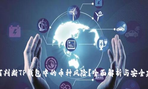 如何判断TP钱包中的币种风险？全面解析与安全建议