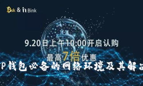 使用TP钱包必备的网络环境及其解决方案